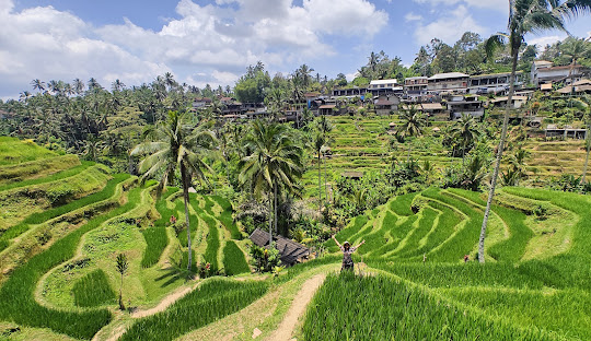 International student life in Bali